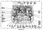 ford expedition relay00.jpg