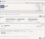 ejemplo calificar.jpg