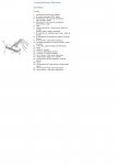 alarma basica pointer 98- diagnanostico 3.JPG
