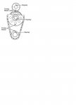 distribucion ford 4.2.JPG