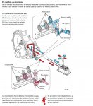 trans. elec. manual de vw4..JPG