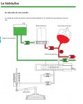trans. elec. manual de vw15..JPG