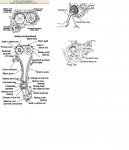 distribucion 2.5 nissan.JPG