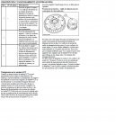VCT-6.JPG