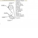 subir informacion.JPG