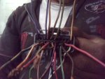 Snapshot_20100820.JPG