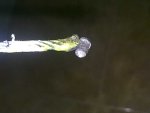 20122011642.jpg