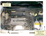 1.8, 2.0L MONDEO ZETEC.jpg