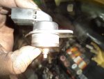 DSC01495.JPG