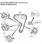 ford-fiesta-bandadistribucion.jpg
