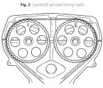 kia-rio2001_timingbelt2.jpg
