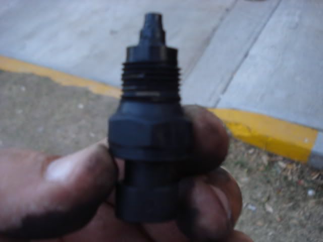 DSC02919.jpg