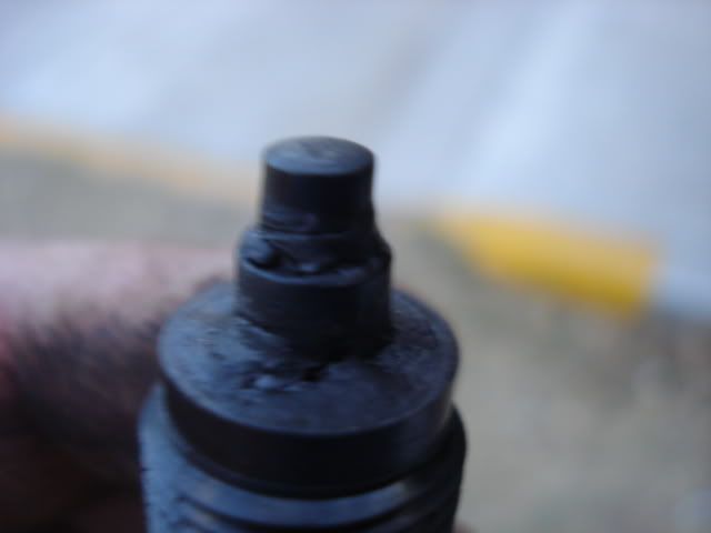 DSC02921.jpg