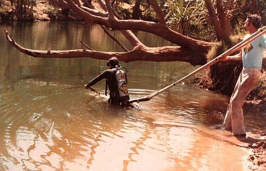 650_1200.jpg