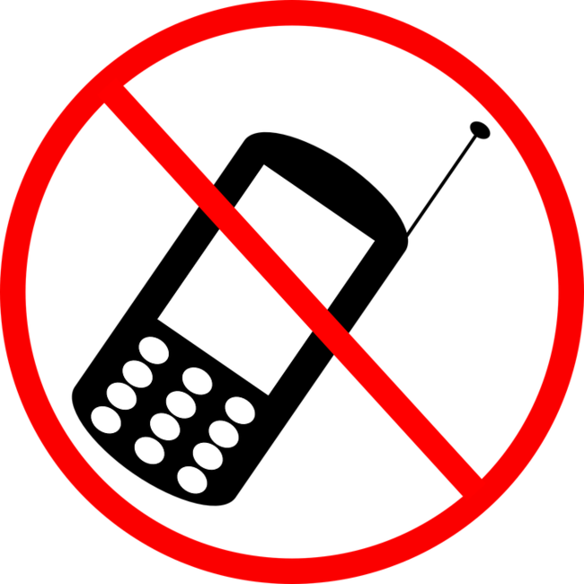 650_1200.png